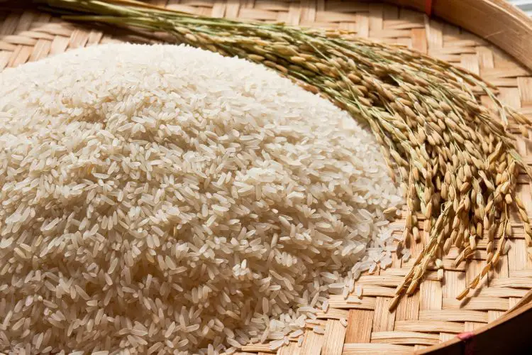 Can You Bring Rice from Malaysia to Singapore (Jan 2024)