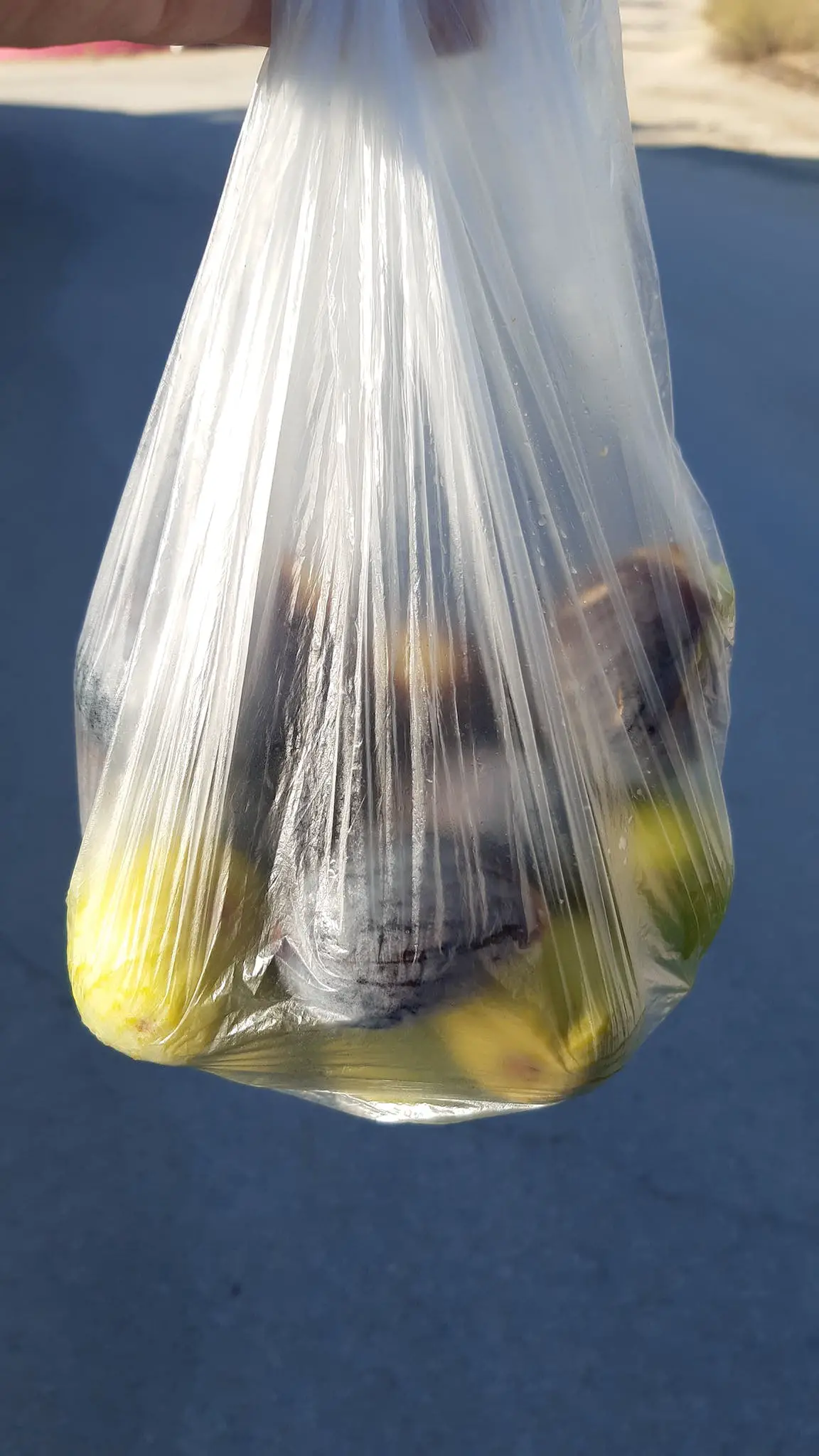 Boiling Food in a Bag